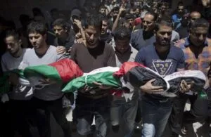 Génocide en Palestine, plus de 24 000 martyrs