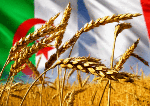 Blé, silence et uniformes : l’échec alimentaire des régimes militaires en Égypte et en Algérie