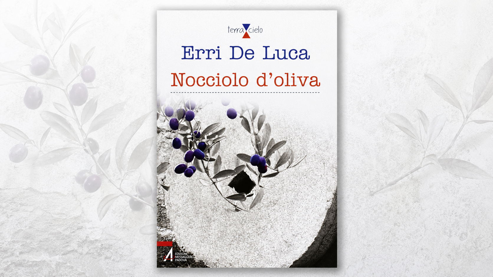 Erri De Luca : faux humaniste, vrai sioniste