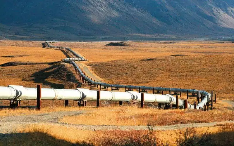 Illustration : Algerias Maghreb Europe Gas Pipeline Closure Economic Concerns Not Politics Former Official Reveals 109274