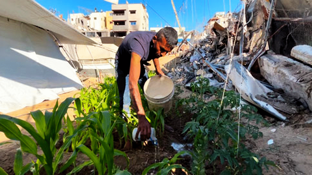 Gaza, la vie contre la machine d’anéantissement